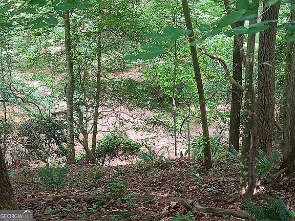 3rd image of 0 Pulliam Mill Rd