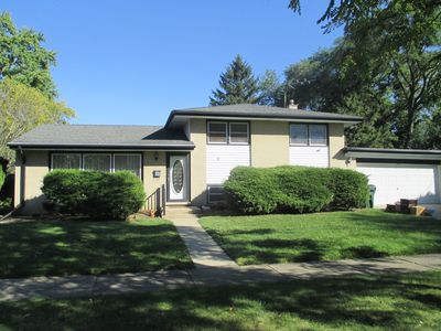 703 N Gibbons Ave, Arlington Heights, IL, 60004