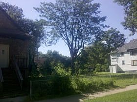 1st image of 11736 S Stewart Ave