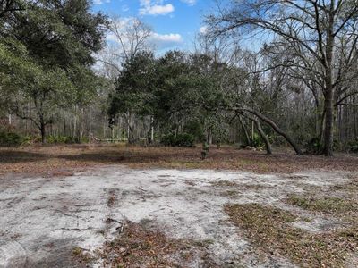 17641 Aucilla River Estates Rd, Lamont, FL, 32336