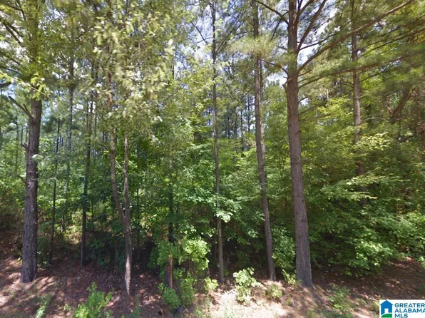 0 Persimmon Ln, Talladega, AL 35160