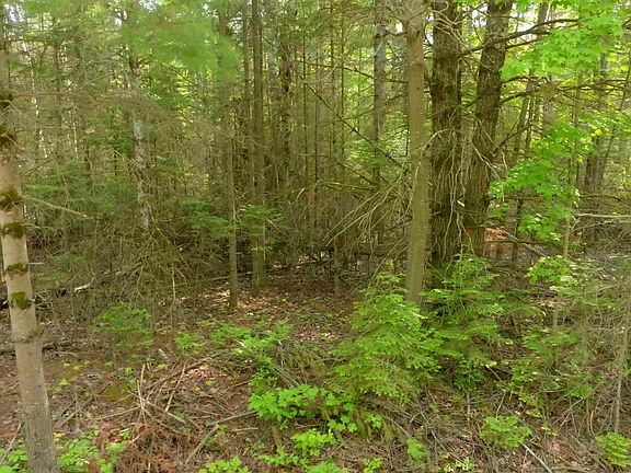4th image of LOT 749 Tamarack Trl