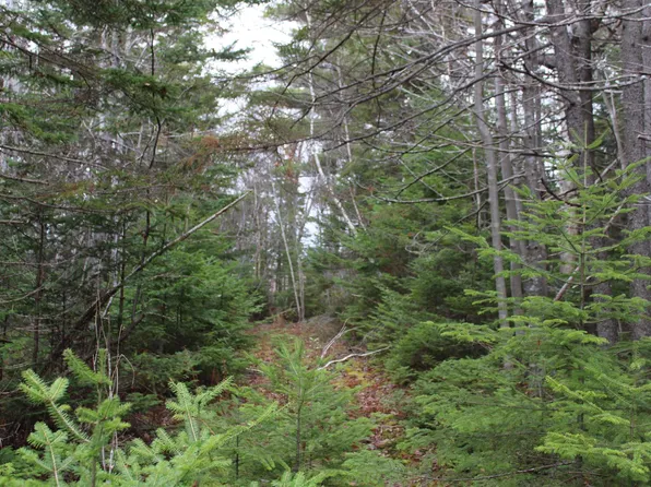 Mirror Point Dr, Annapolis, NS B0S 1A0