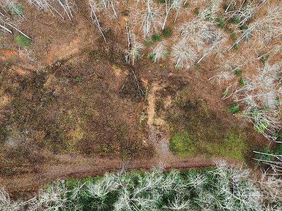 2nd image of 1182 Tunnel Mountain Rd