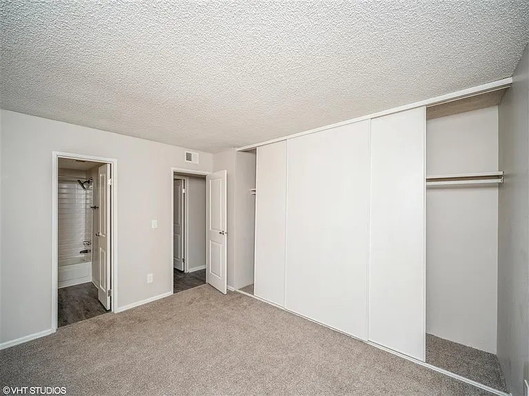 Carpeted bedroom with closet and direct bathroom access