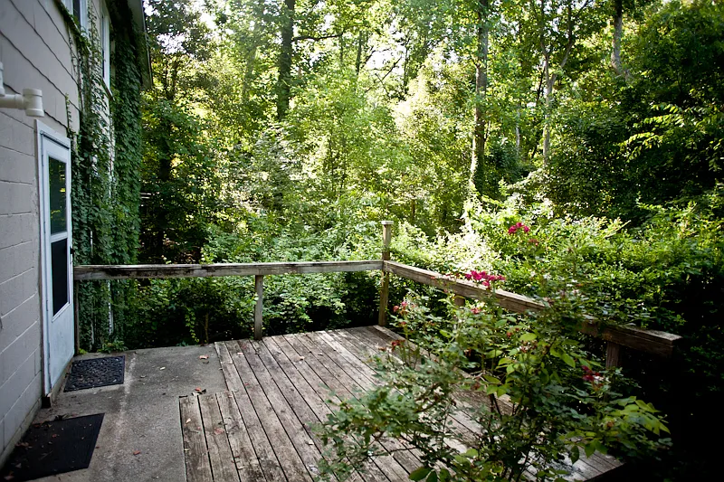 Spacious One Bedroom near UNC Hospitals! — Photo 3