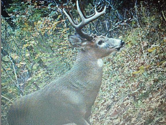 4th image of 506 Hazard Ln