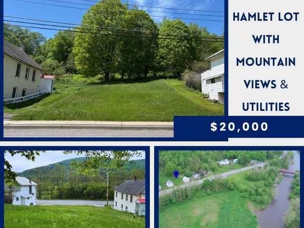 LOT 20 State Highway 10, Hamden, NY 13782