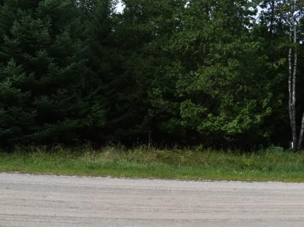 Nhn Cedar Brook Dr, Oscoda, MI 48750