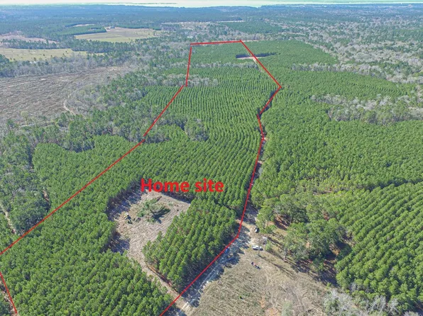 Sandydale Ln, Livingston, TX 77351