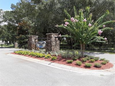5072 Lakeshore Ranch Rd, Groveland, FL, 34736