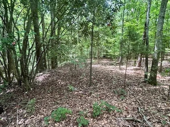 0 Roosevelt Circle, Bowman, GA 30624