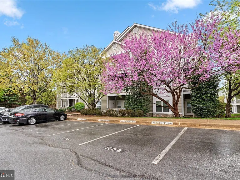 1708 Lake Shore Crest Dr #24 — Photo 2