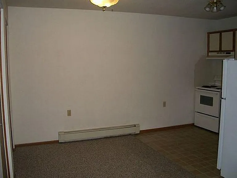 1151 E Hopson St #1151 — Photo 7