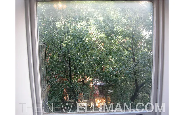 Rented by Douglas Elliman | media 5