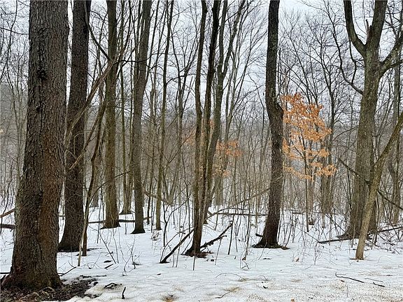 2nd image of 0 Cadogan Slate Lick Rd