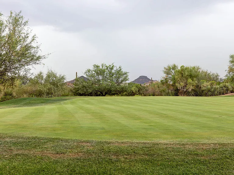 28990 White Feather Ln #168 — Photo 31