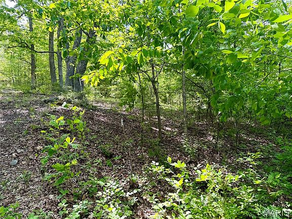 4th image of 0 Pratt Rd
