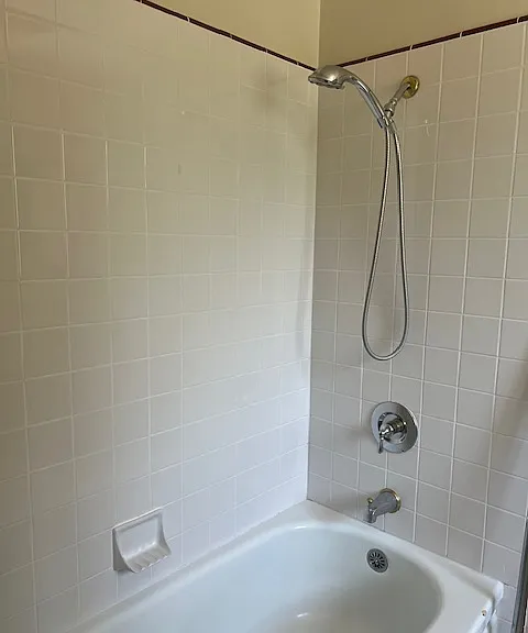 Shower/tub