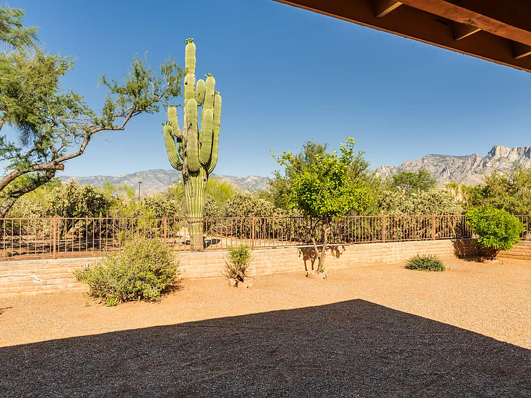11910 N Joi Dr — Photo 19