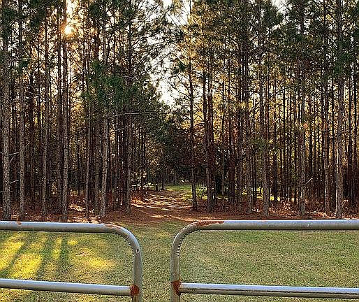 Fully fenced, locking gate