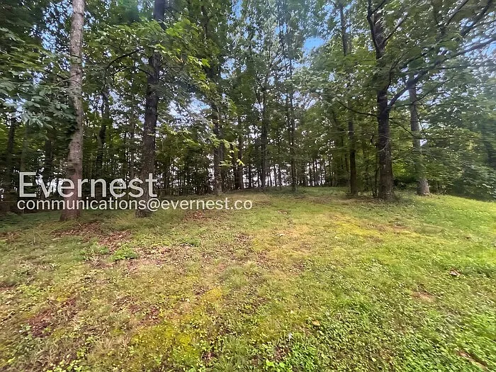 198 Poplar Point Dr — Photo 20