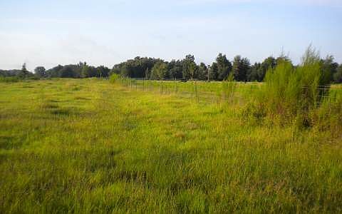 1st image of SR 247 & #I-75