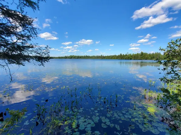 Lake Terrace Est W, Three Lakes, WI 54562