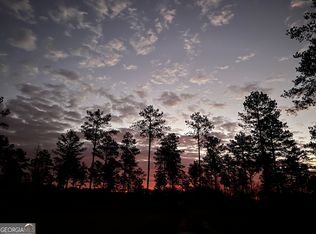 335 Highway 26, Elko, GA 31025