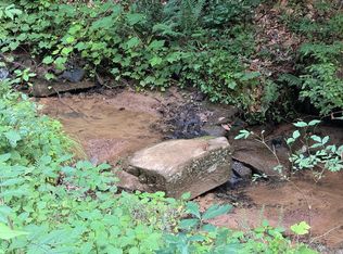 604 Nugget, Ellijay, GA 30540