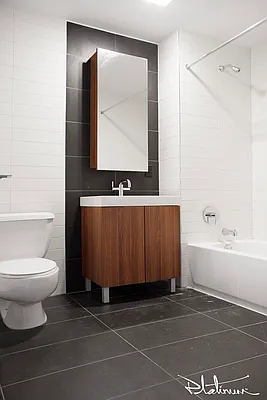 Rented by Platinum Properties | media 26