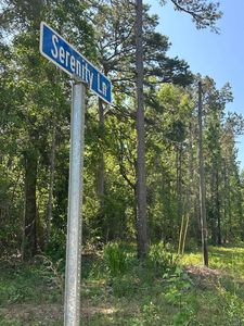 Serenity Ln, Quincy, FL, 32351