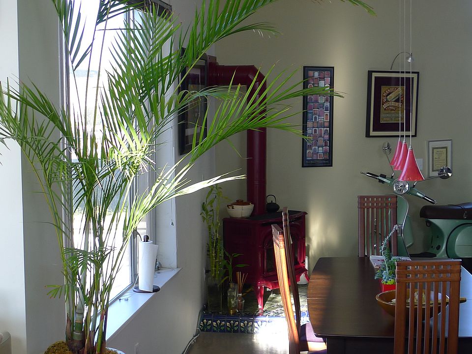 2nd image of 1020 Mariposa St Unit 4