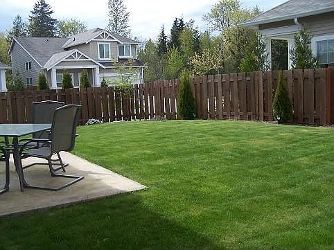 Nice useable back yard!