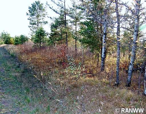 1st image of Lot  9 Johnson Road