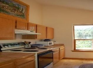 627 N Pine Dr, Bailey, CO 80421