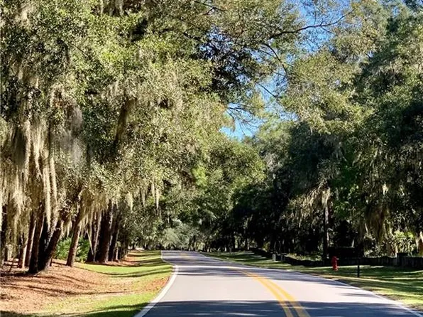 LOT 35 Carnochan Blf, Darien, GA 31305
