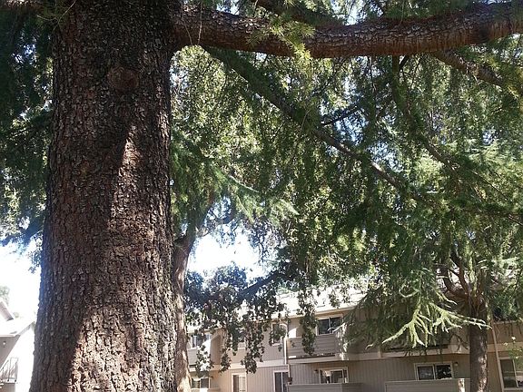 4th image of 174 S O St APT 149