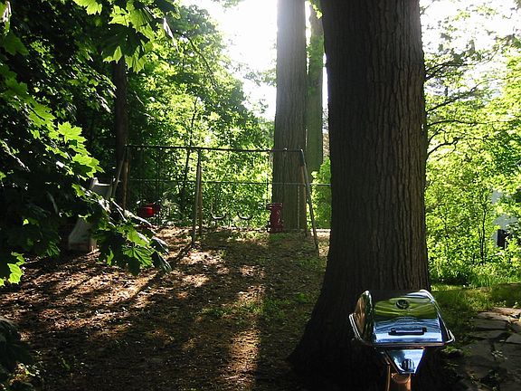 Back yard in the summer