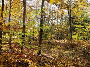 William Ernst Rd, Lewis, NY