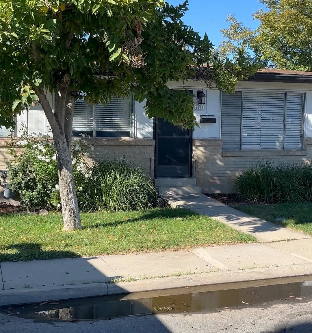 1665 E Phebe Lane — Photo 1