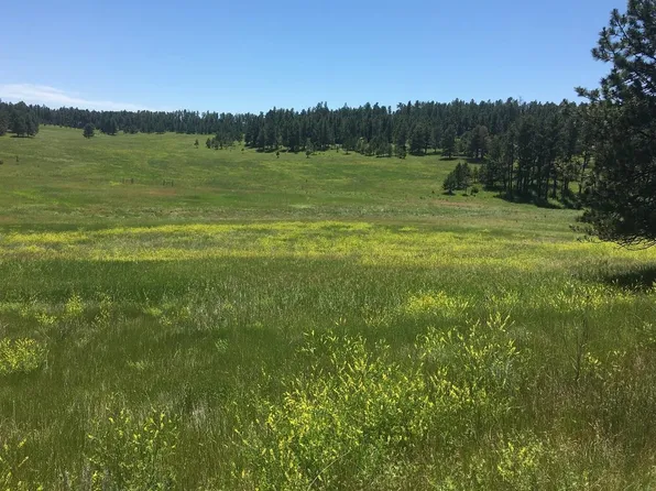 Tbd Lone Elk Dr, Hot Springs, SD 57747