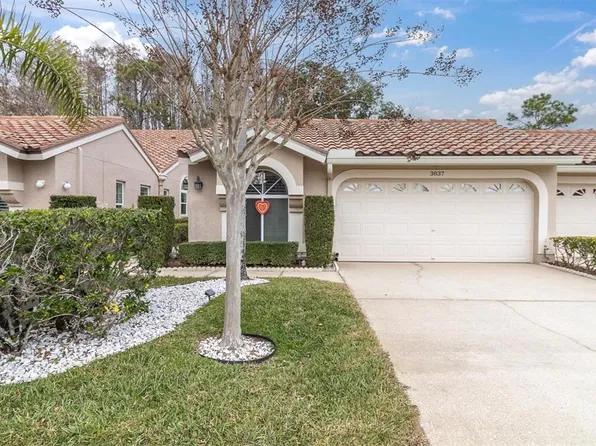 3837 Darston St, Palm Harbor, FL 34685