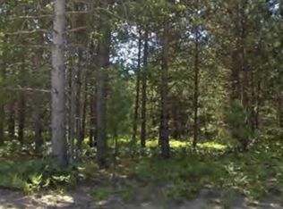 Bergstrom Dr, Kaleva, MI 49645