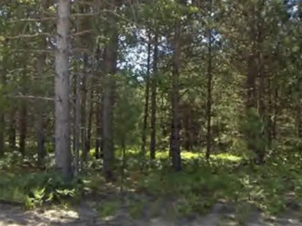 Bergstrom Rd, Kaleva, MI 49645