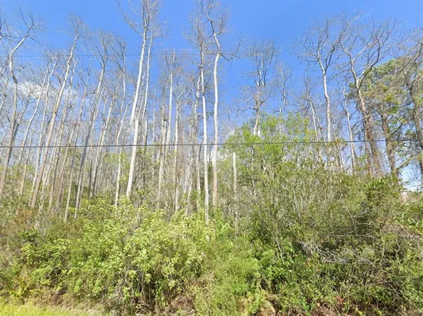 Mardi Gras St Lot 104, Orlando, FL 32833