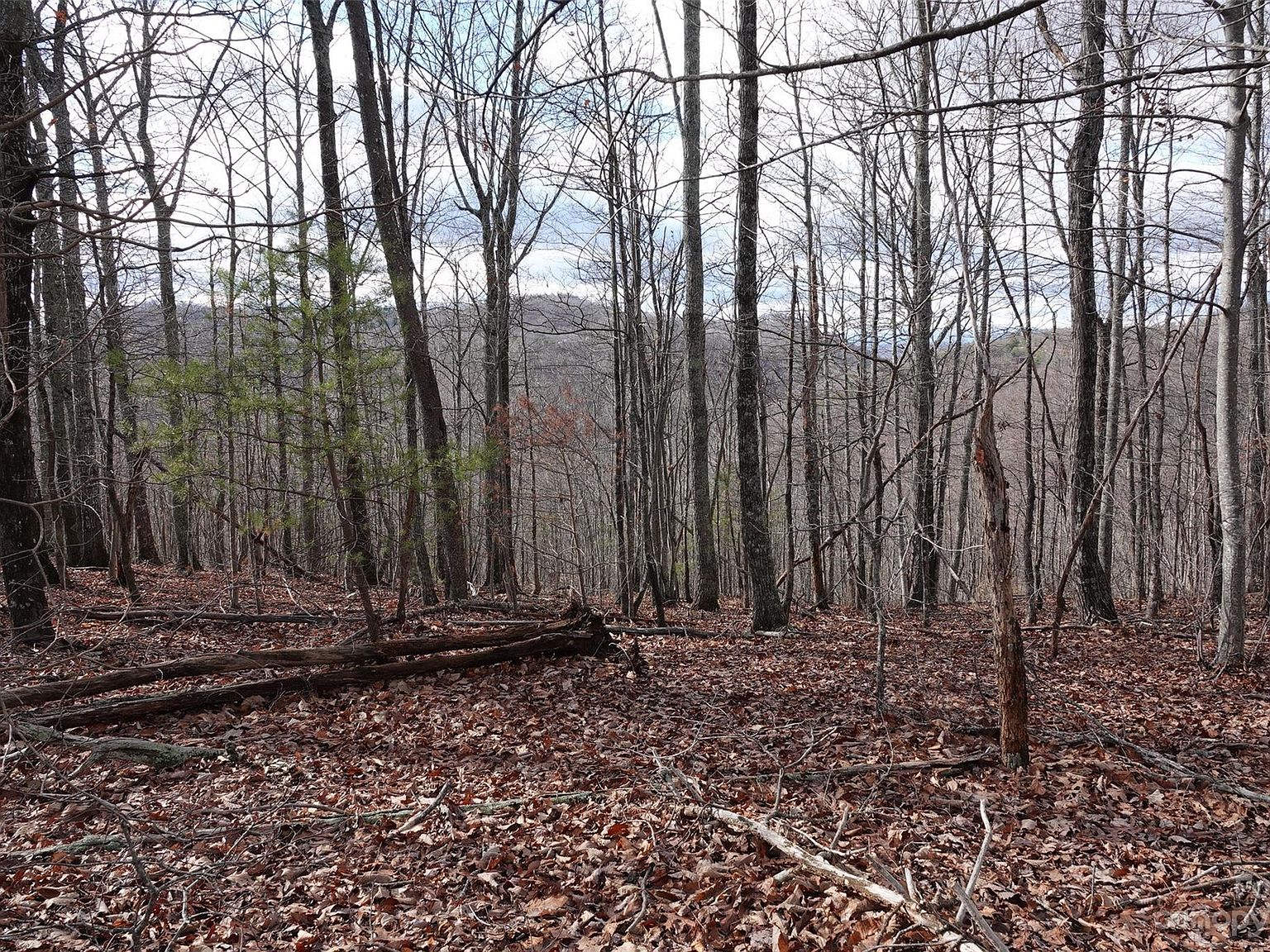 79 Longview Trl, Bostic, NC 28018 MLS 4104957 Zillow