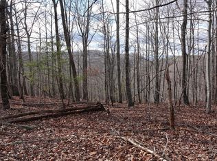 79 Longview Trl, Bostic, NC 28018