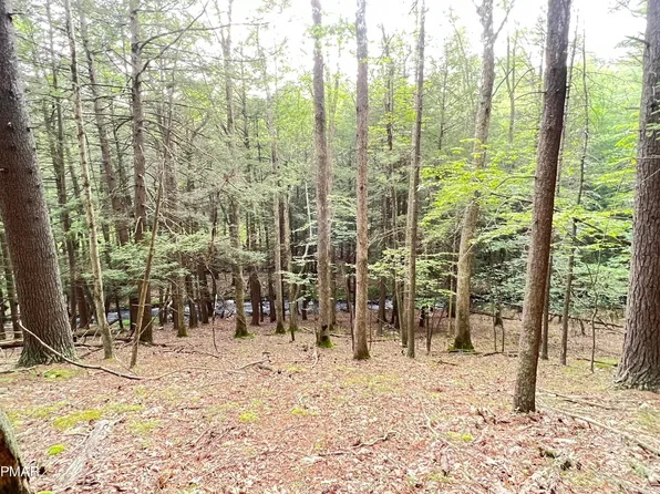 LOT 381 Creek Rd, Hawley, PA 18428