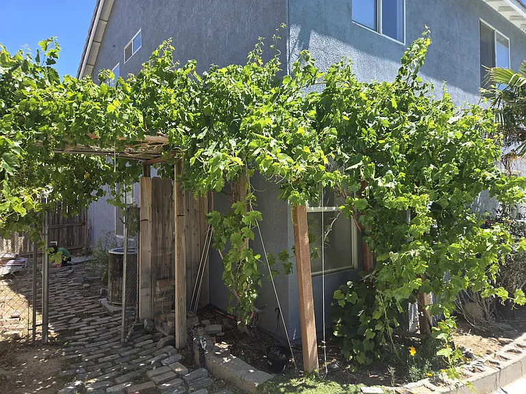 45439 Fairbanks Ave — Photo 20